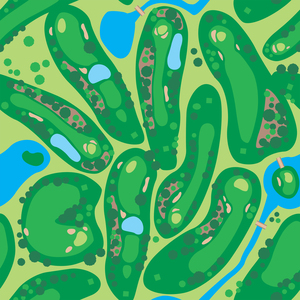 Golf Course Par Golf Course Green