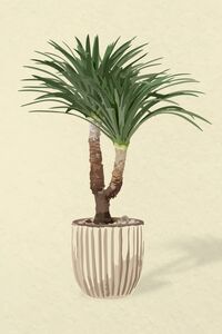 tree vector art in a flower pot