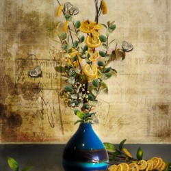 Lemon Tree