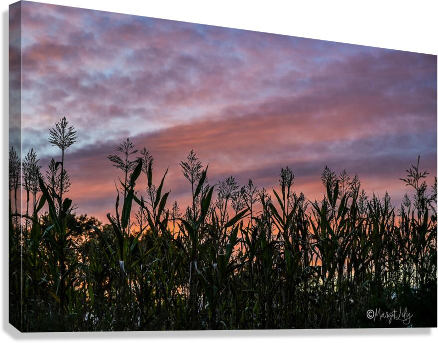 Delaware Sunset Canvas Print