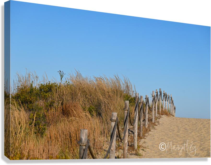 Cape Henlopen Canvas Print