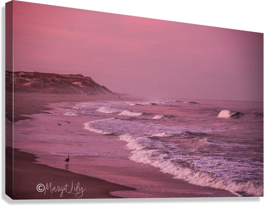 Pink Sunset Canvas Print