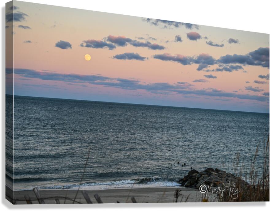 Cape Henlopen Canvas Print