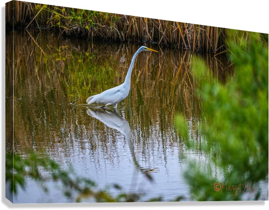 Egret Canvas Print