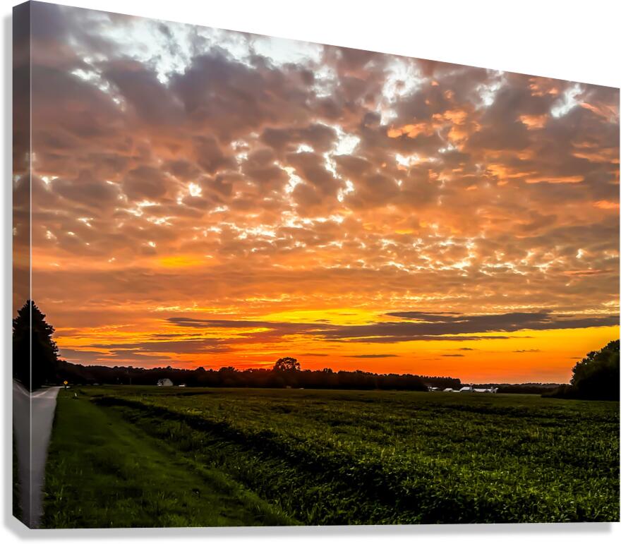 Pocomoke Sunset Canvas Print