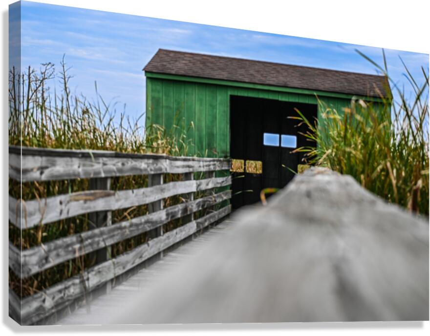 Lookout Canvas Print