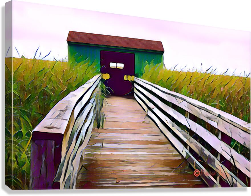 Lookout Canvas Print