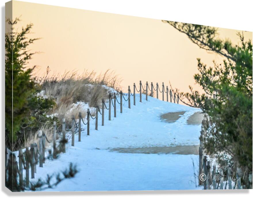 Winter Dunes Canvas Print