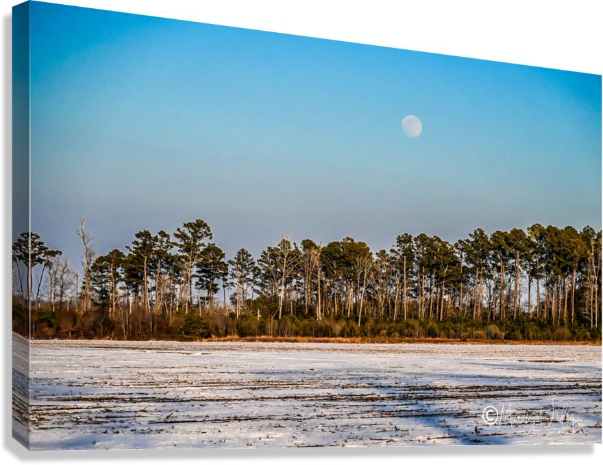 Moon Rising Canvas Print