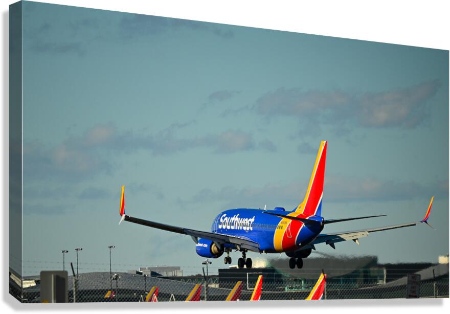 Planes landing Canvas Print