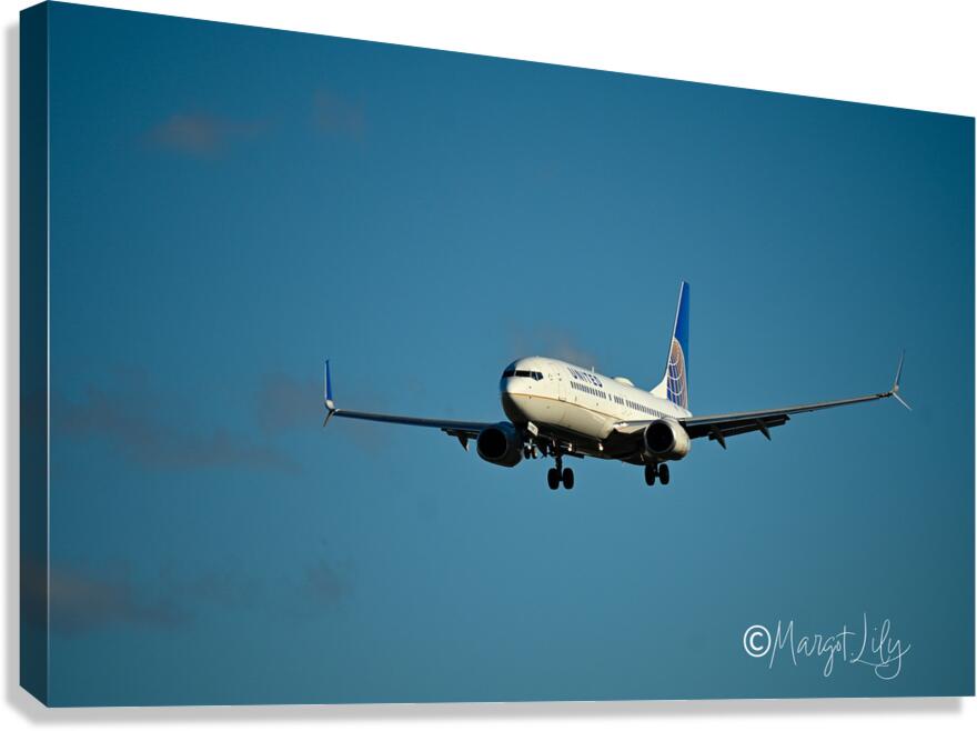 Planes landing Canvas Print