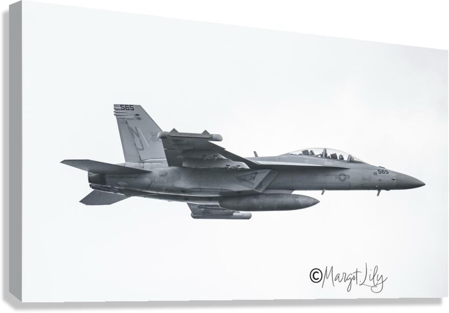 F16 Viper Canvas Print