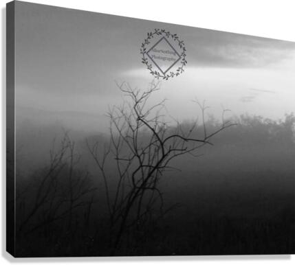 Dark Tree Canvas Print