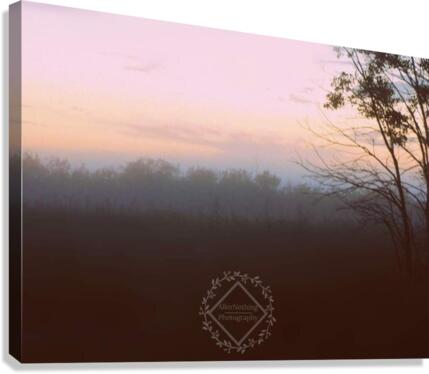 Fog at Sunset Canvas Print