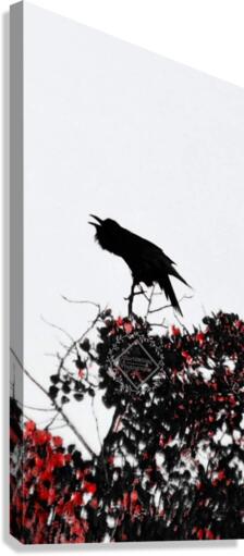 Raven Call Canvas Print