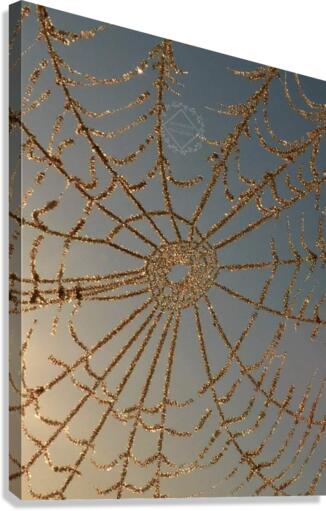 Crystal Web Canvas Print
