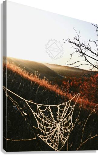 Cobweb Valley Canvas Print