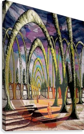 Cathedral1 Canvas Print