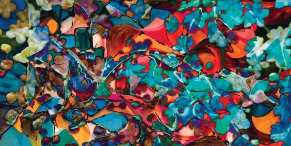 multiform colored abstract shapes Print
