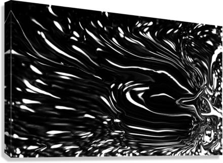fluid contrasts Canvas Print