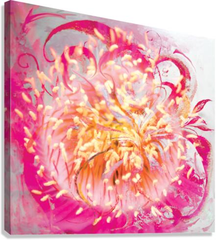 soft energy vortex Canvas Print