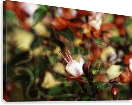 beyond visible Canvas Print