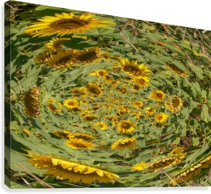 sunflowers vortex Canvas Print