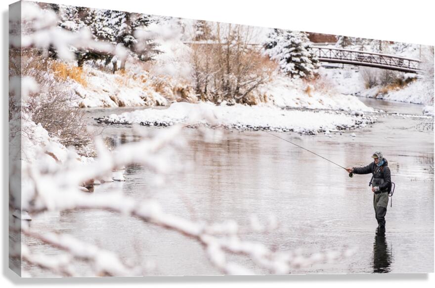 Winter Flies Canvas Print