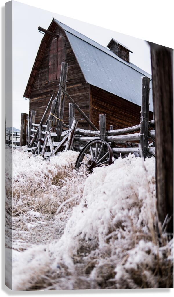 Frozen In Time Canvas Print
