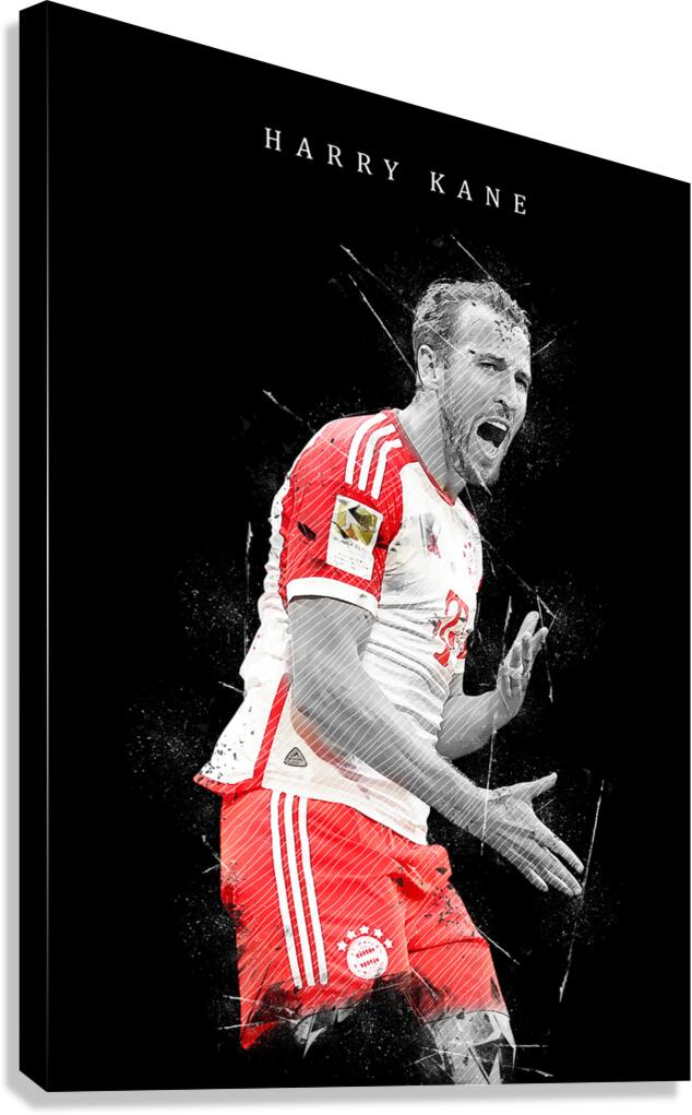 Harry Kane Canvas Print