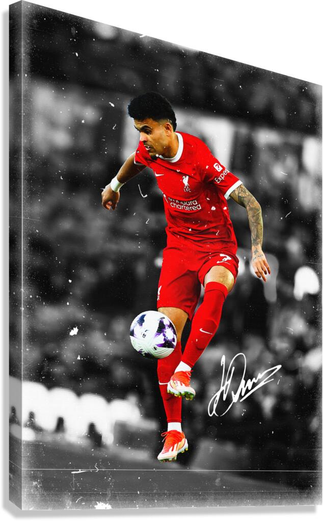 Luis D az Canvas Print