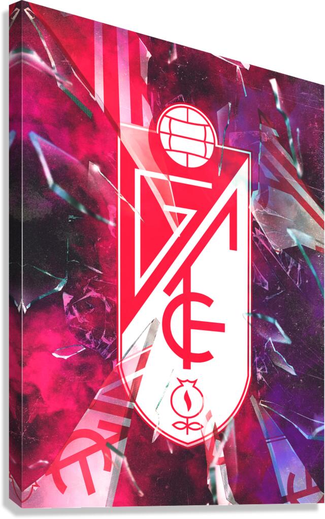 GRANADA Canvas Print
