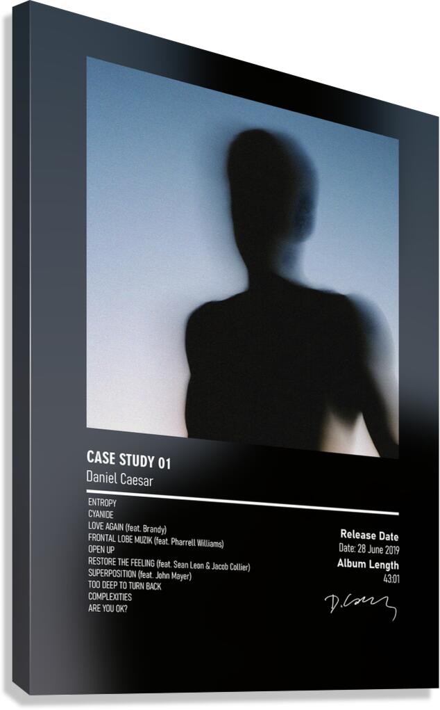 CASE STUDY 01 By Daniel Caesar Canvas Print