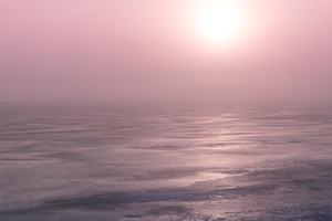 Pink Champagne on Ice