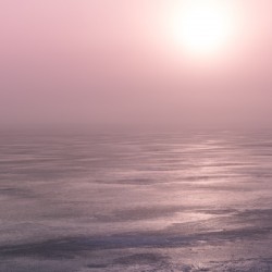 Pink Champagne on Ice