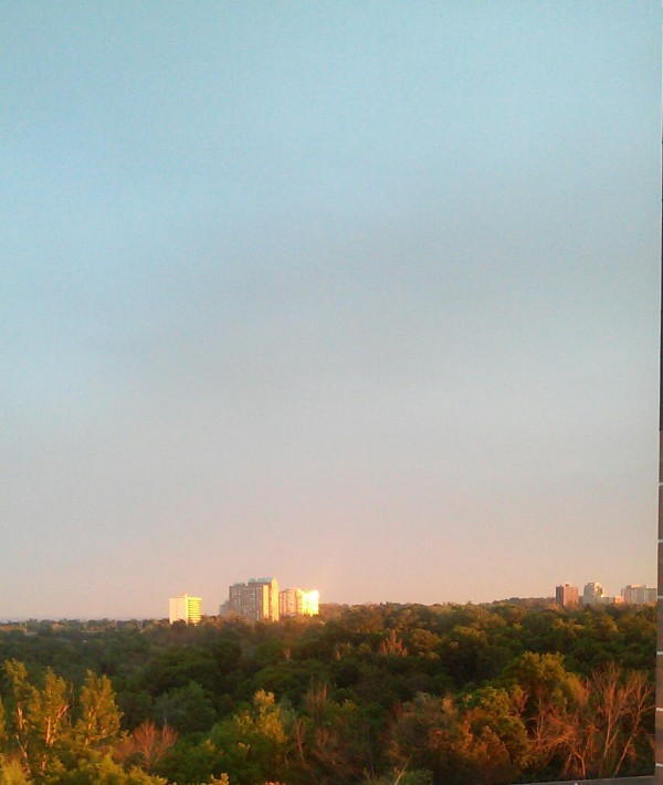 Sunset shining through the trees Print