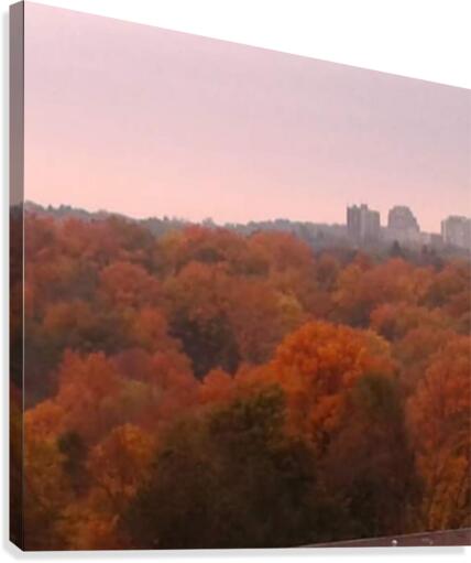 Colourful trees Canvas Print