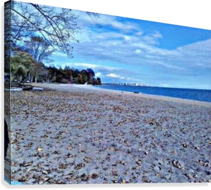 Beach in Fall Canvas Print