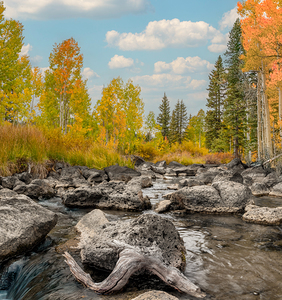 duck creek Utah fall 2025