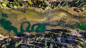 snake at the bottom of aspen mirror