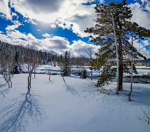 Aspen 