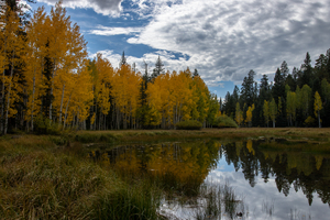 Aspen mirror lake 