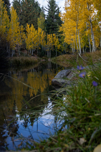 Duck creek fall Reflections
