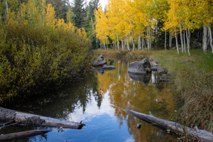 Duck Creek fall reflections 