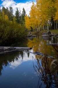 fall along the creek