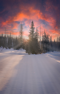 rays of heaven