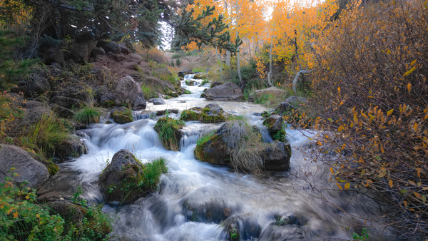Water Fall Print