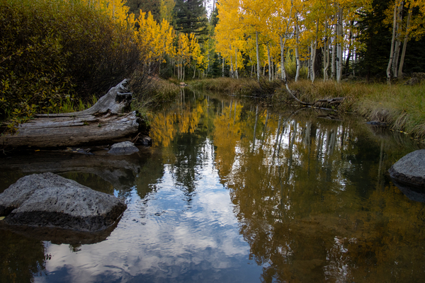 Fall Reflections Print