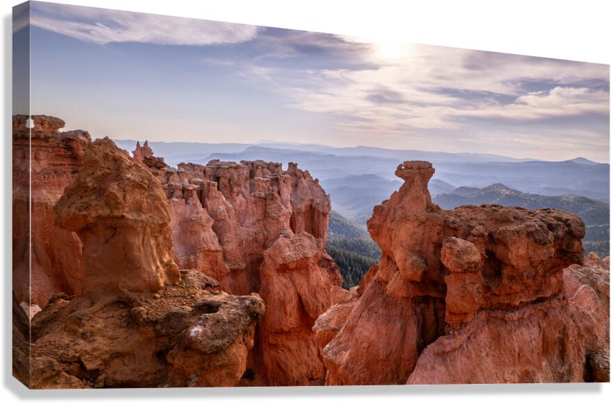 strawberry point  Canvas Print