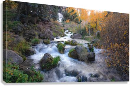 Water Fall Canvas Print
